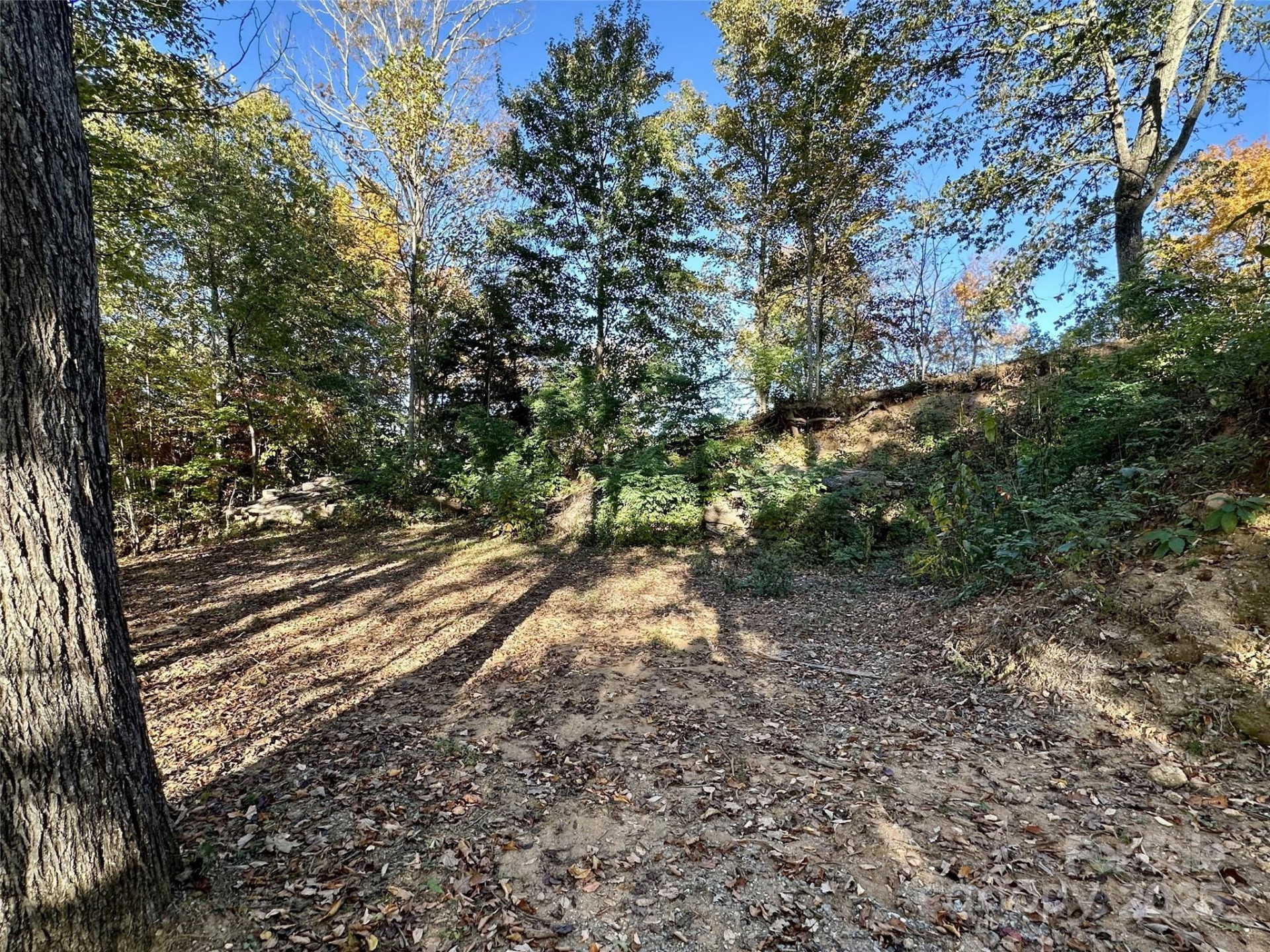 534 Cicada Drive - Photo 7