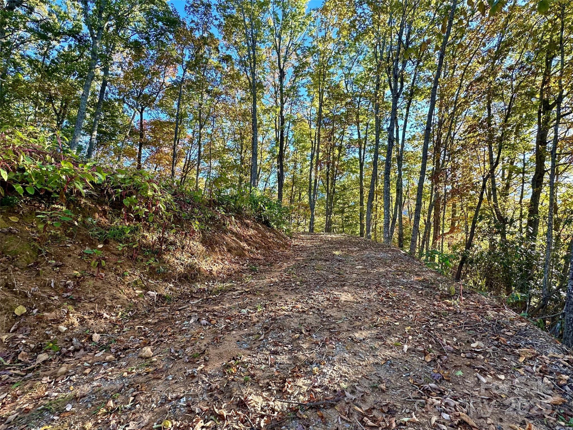 534 Cicada Drive - Photo 8