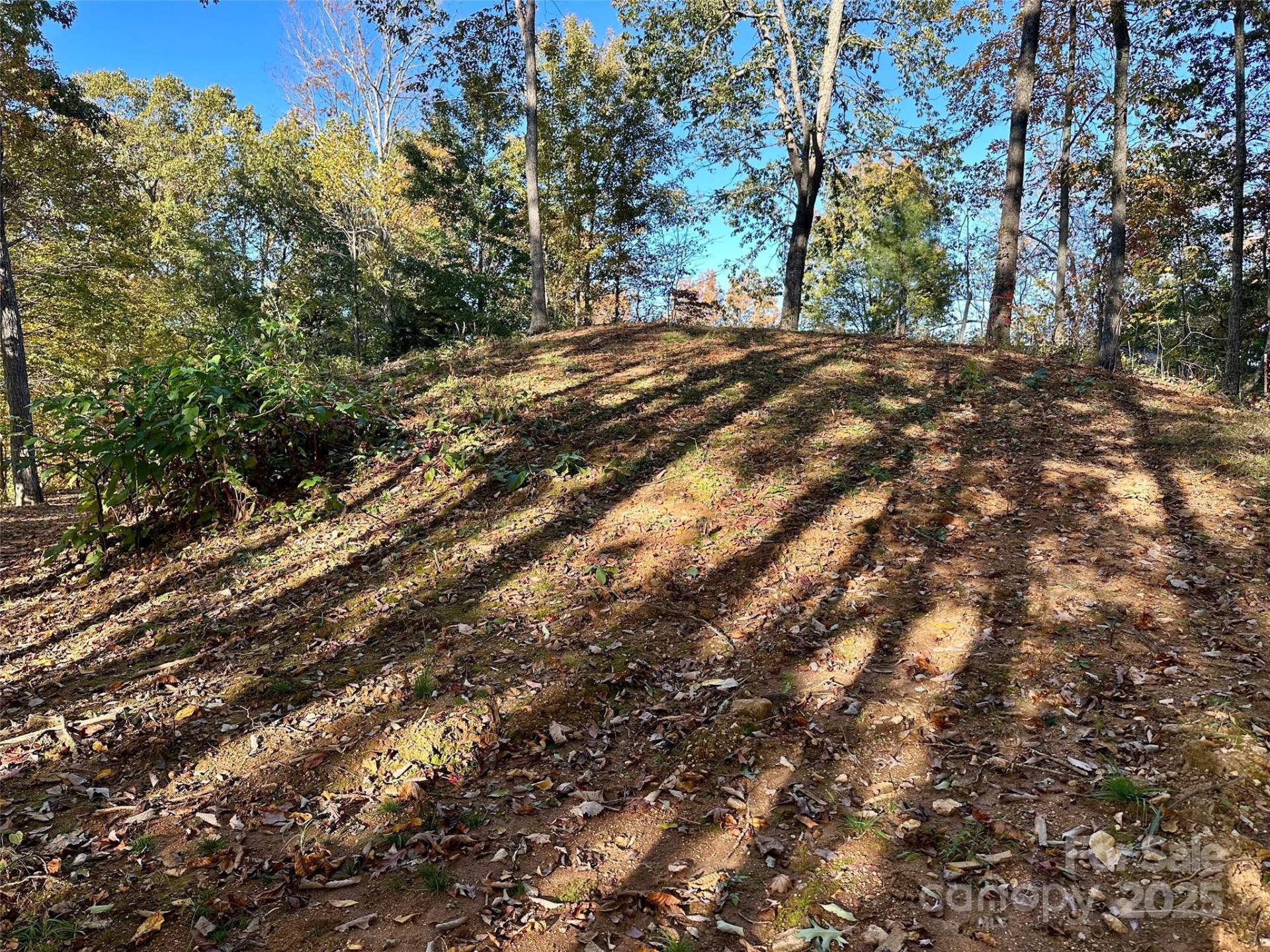 534 Cicada Drive - Photo 9