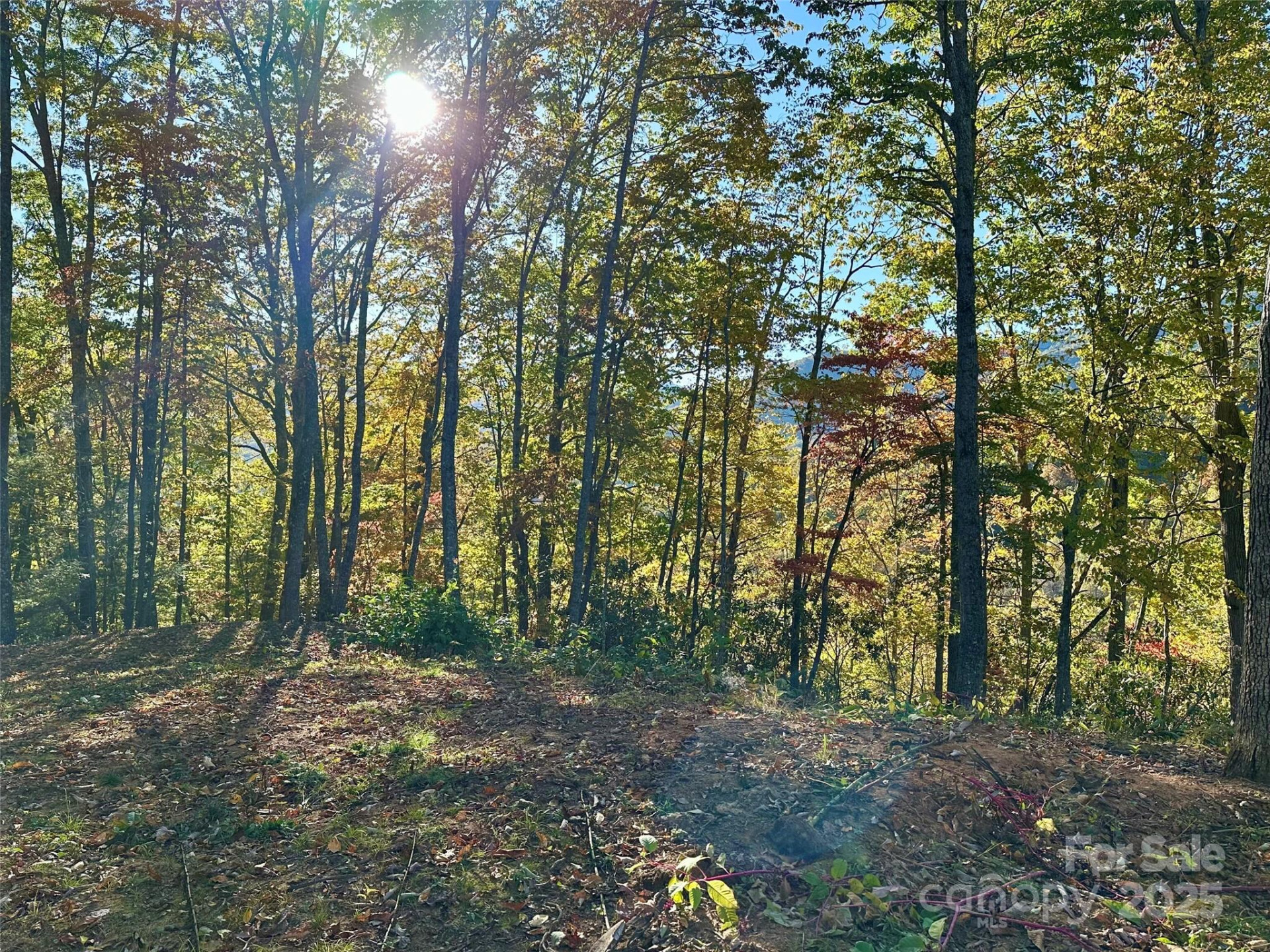 534 Cicada Drive - Photo 10