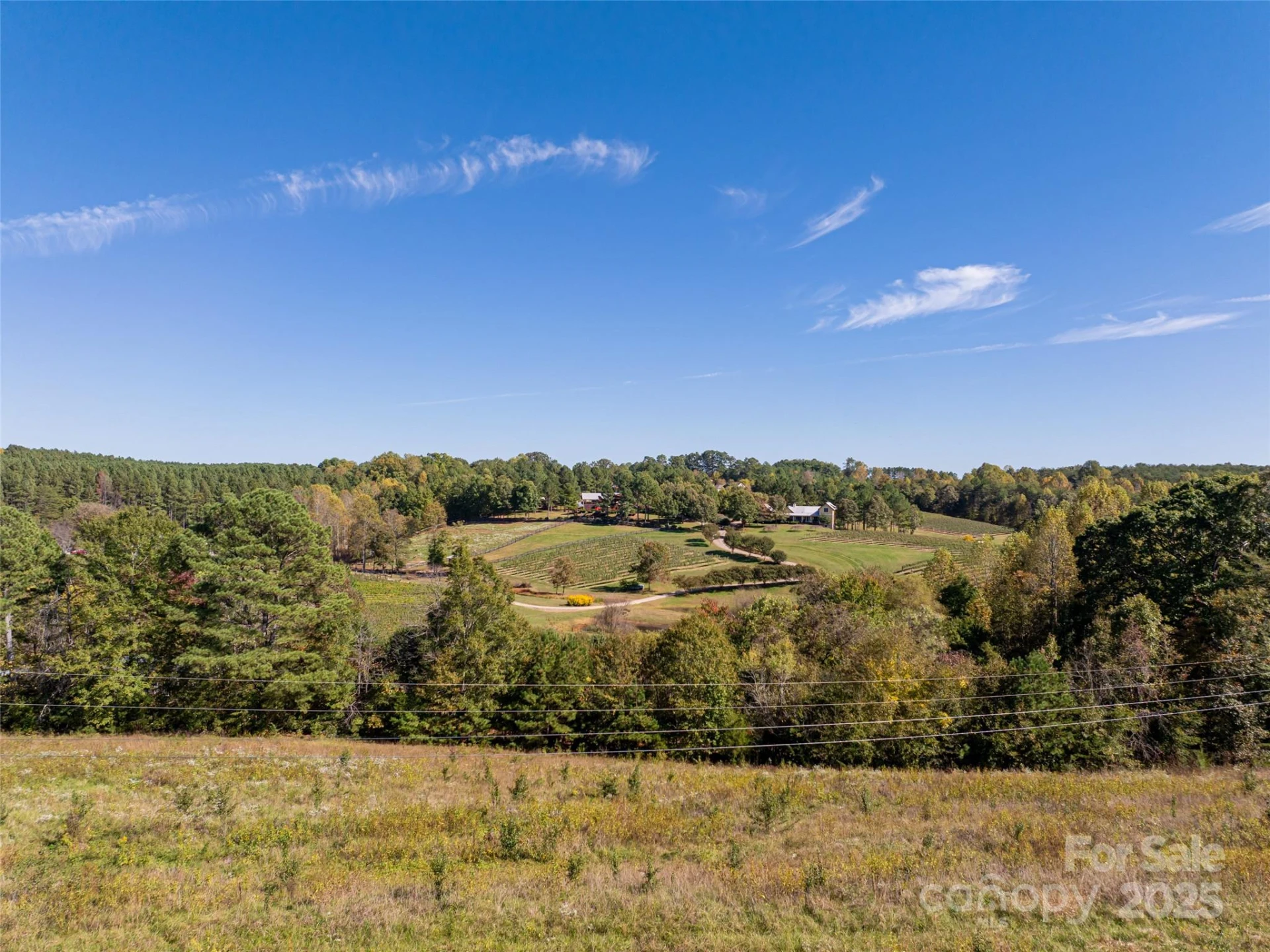 0 NC Hwy 108 None #Lot 55 - Photo 9
