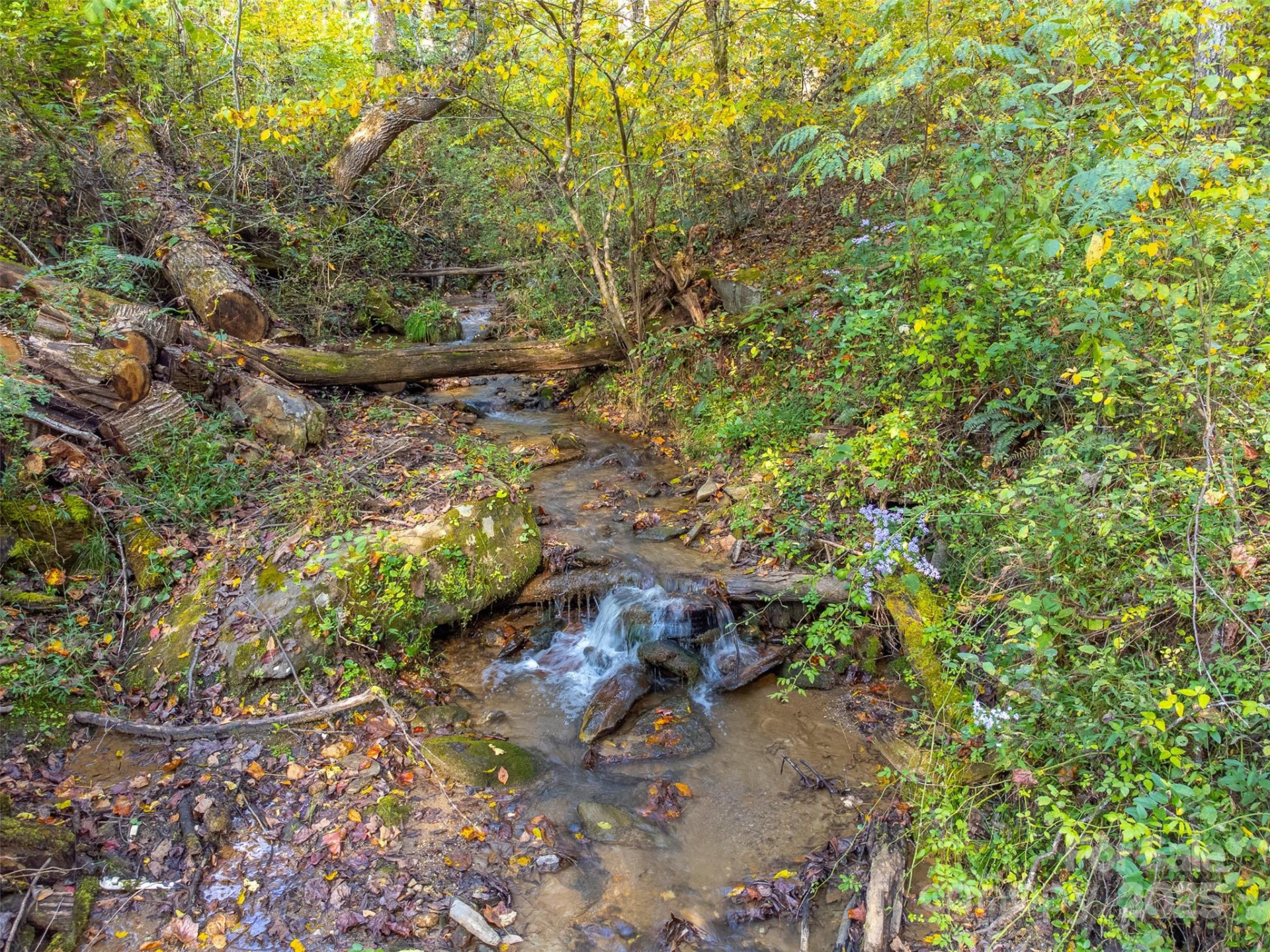 125 Nugget Lane - Photo 5