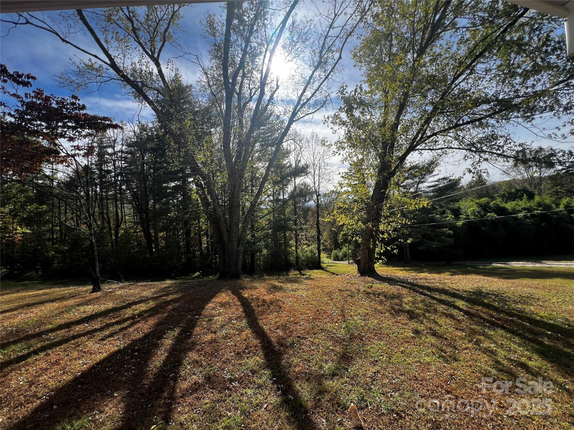 942 Hicks Chapel Loop - Photo 11