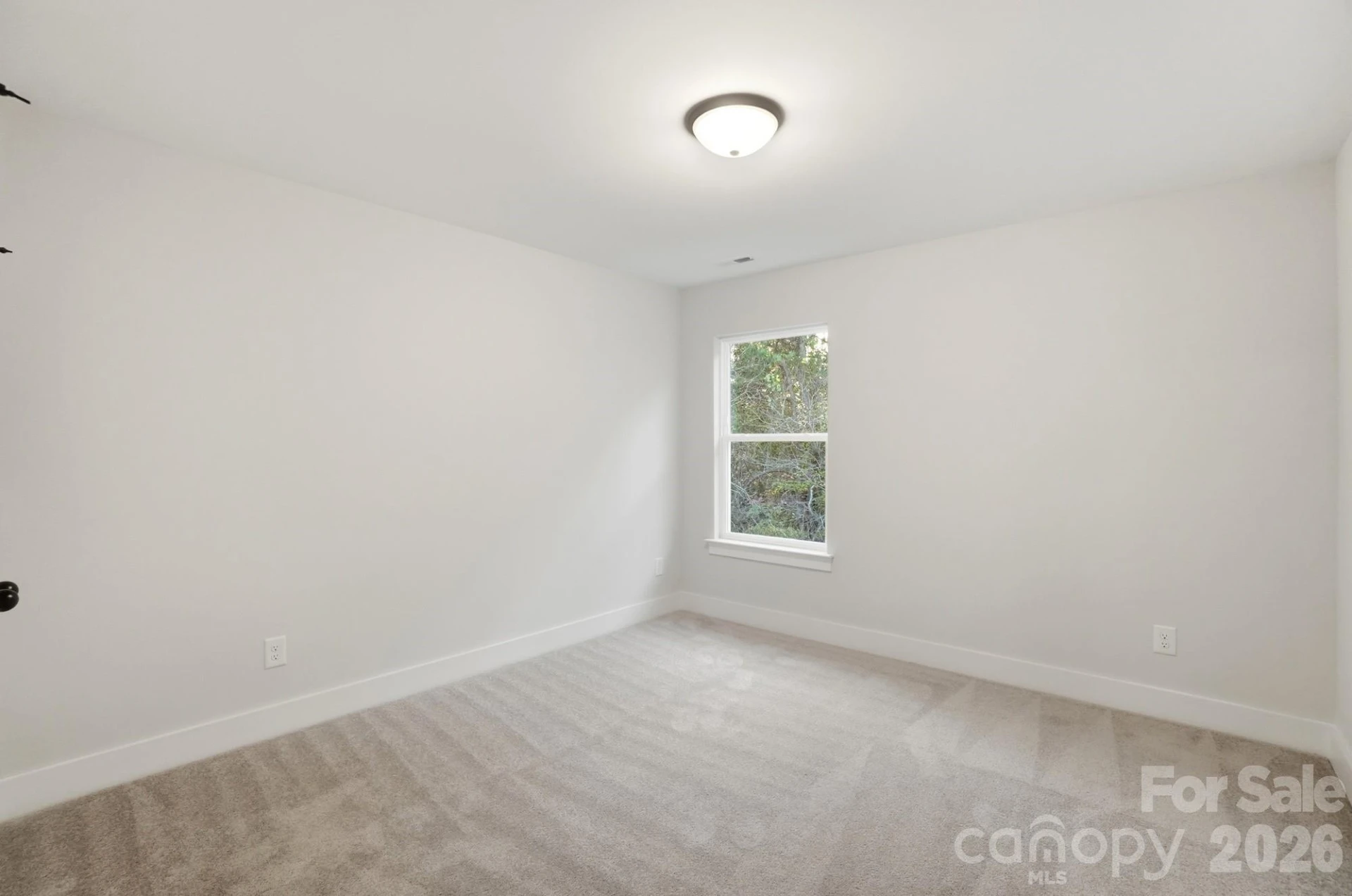 123 Viburnum Road - Photo 20