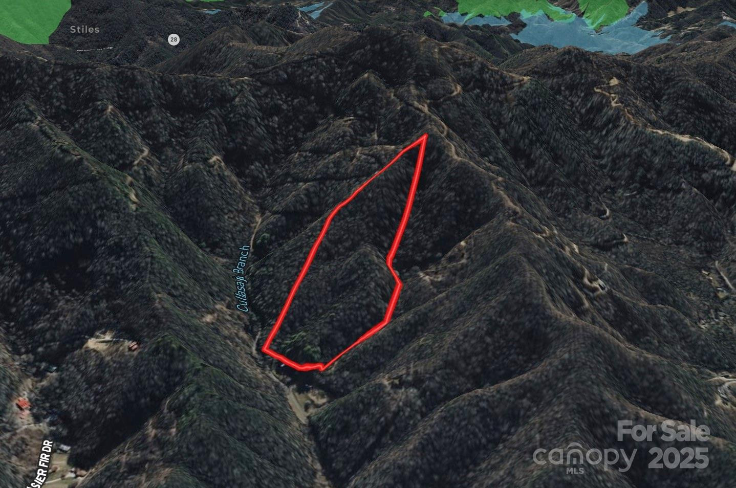 999 Cullisia Road - Photo 2