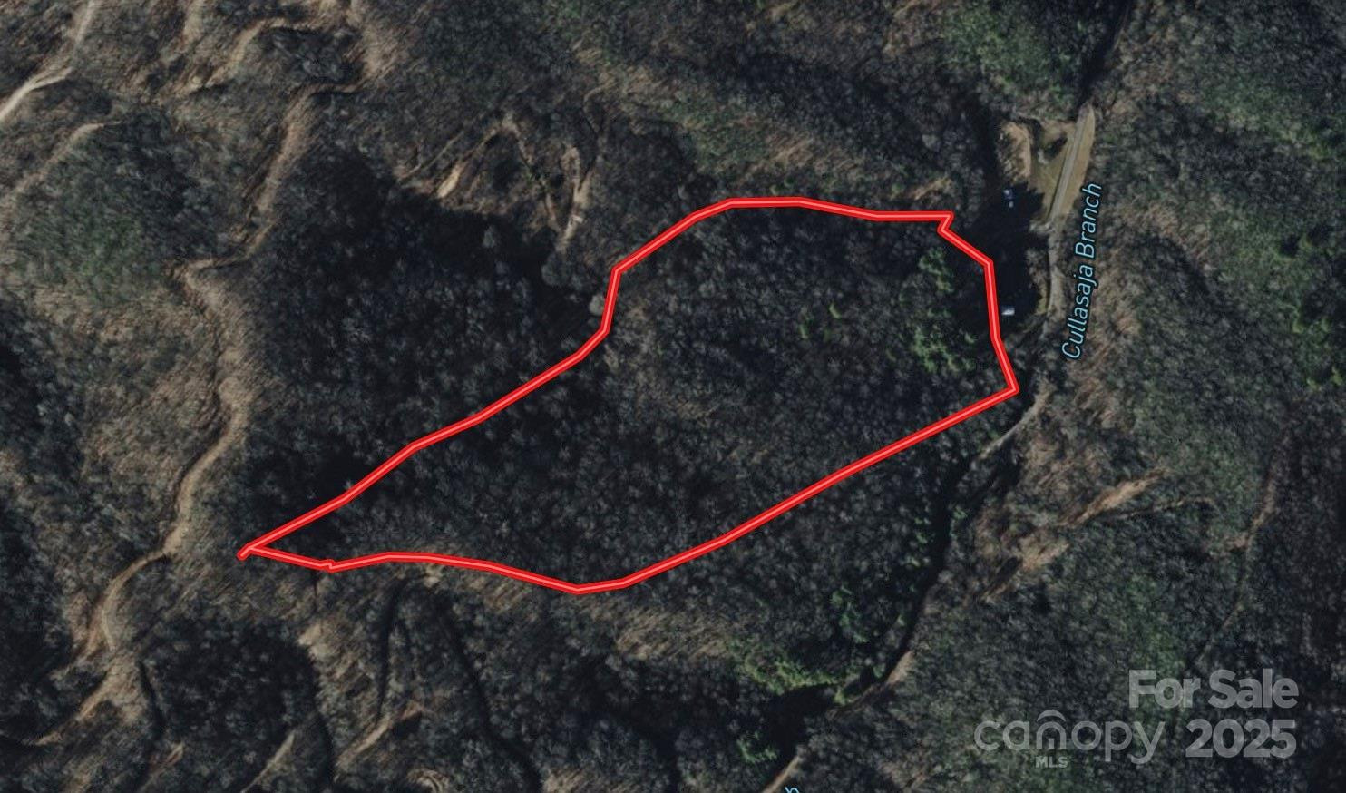 999 Cullisia Road - Photo 11