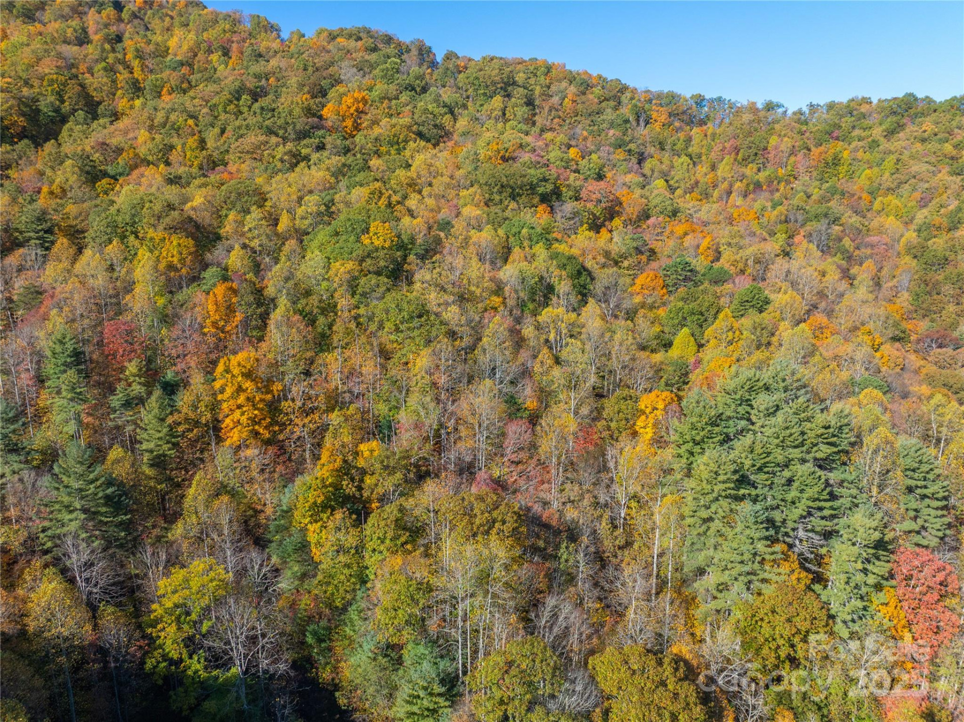 999 Cullisia Road - Photo 3