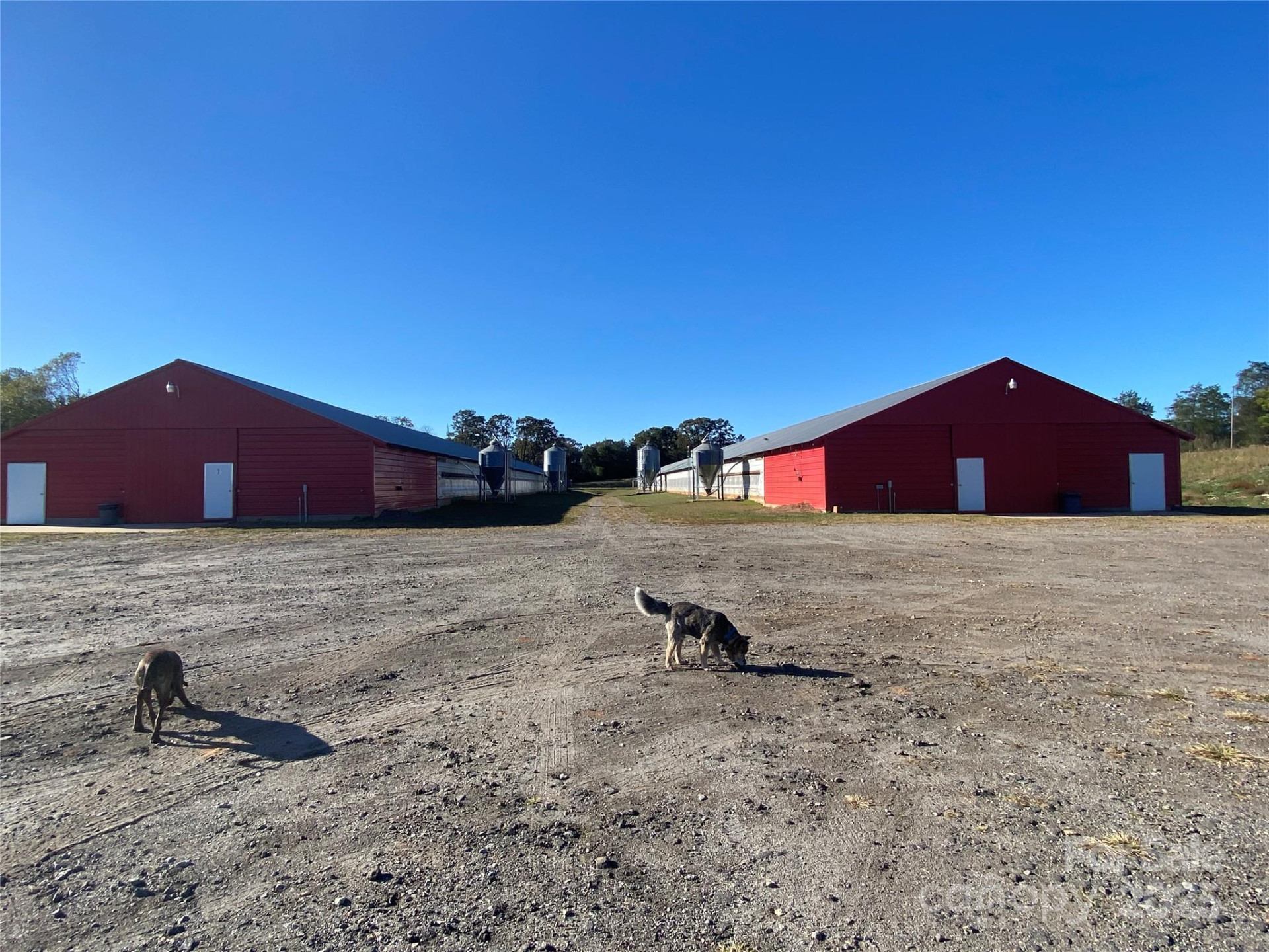 382 Poole Road - Photo 4