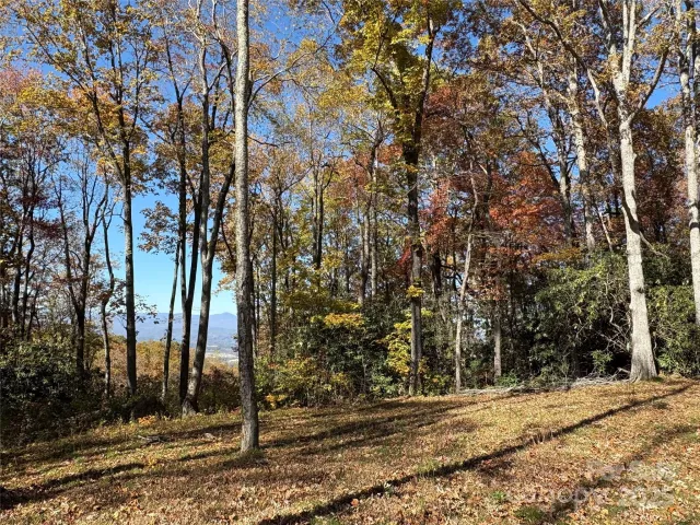 45 Trillium Garden Trail, Fletcher, NC, 28732