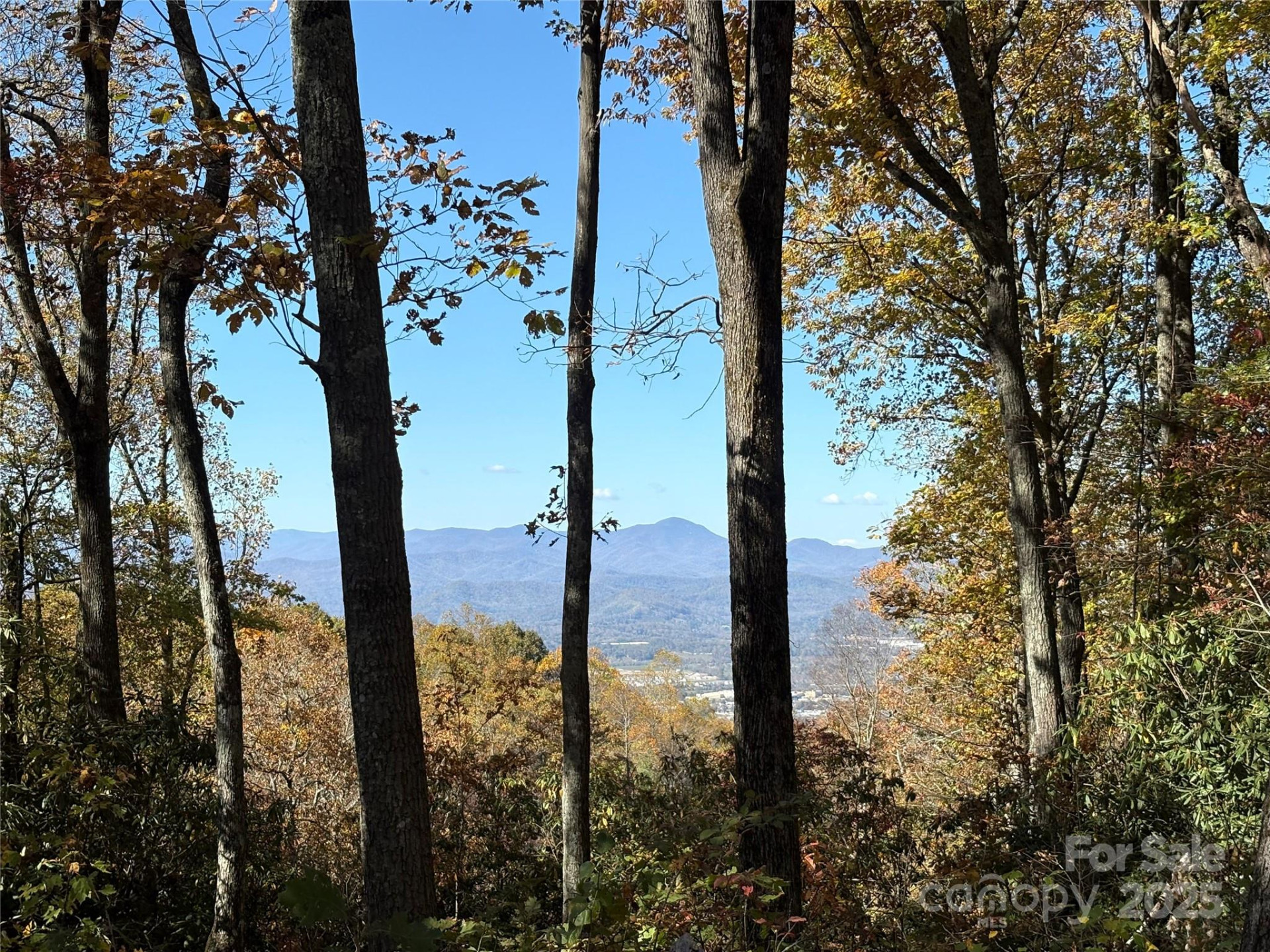 45 Trillium Garden Trail #Lot 29 - Photo 2