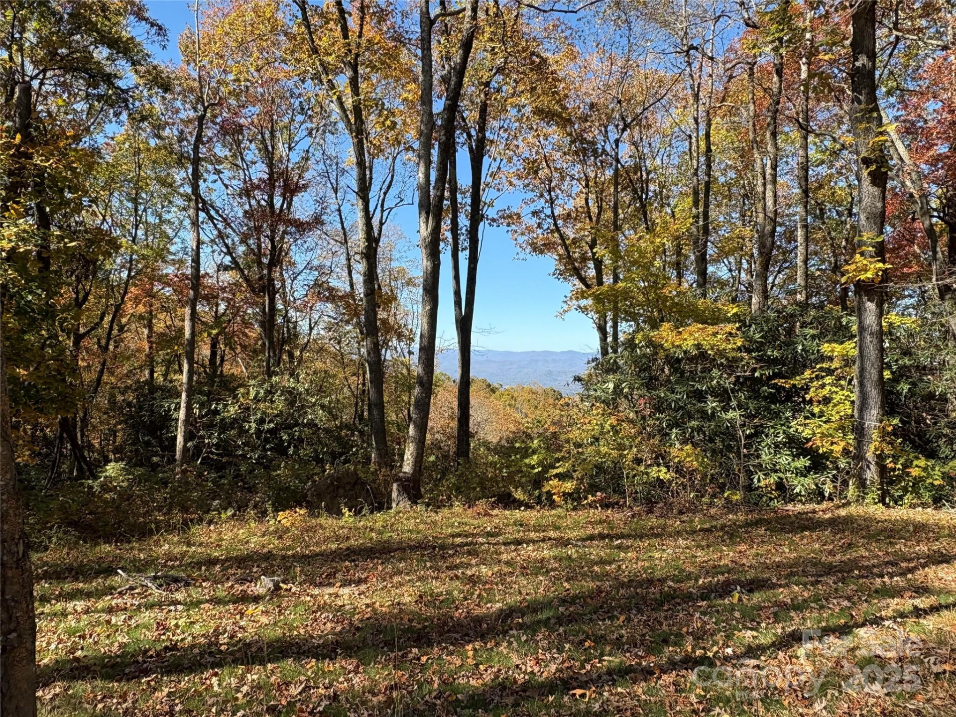 45 Trillium Garden Trail #Lot 29 - Photo 3