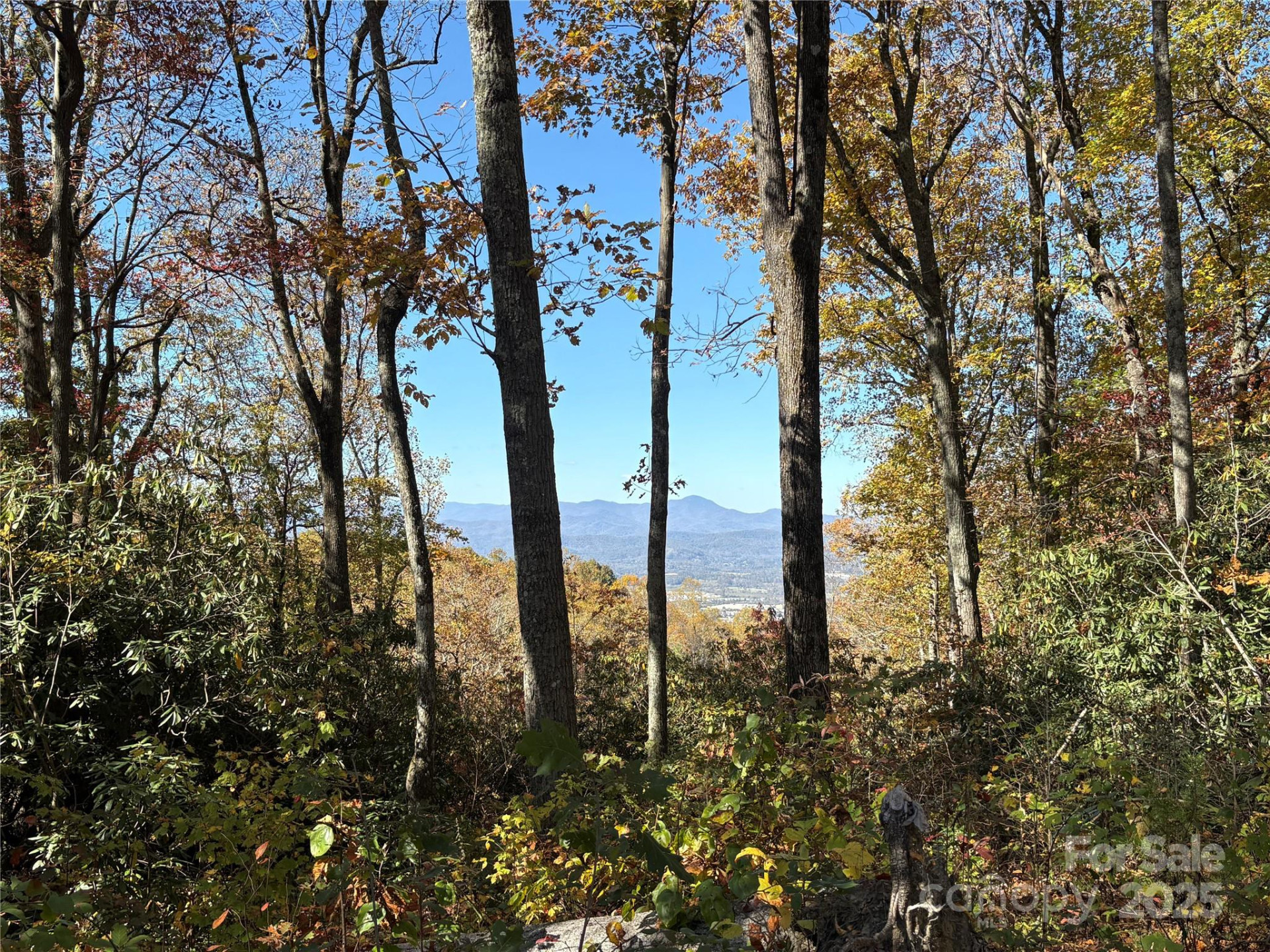 45 Trillium Garden Trail #Lot 29 - Photo 4