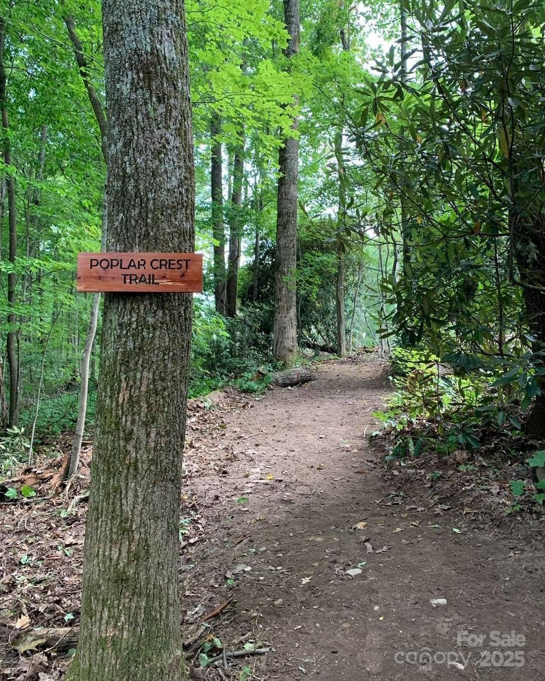 45 Trillium Garden Trail #Lot 29 - Photo 8