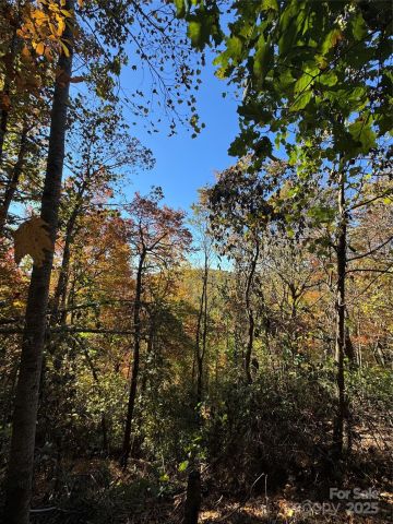 9999 Hemlock Trail, Laurel Park, NC, 28739