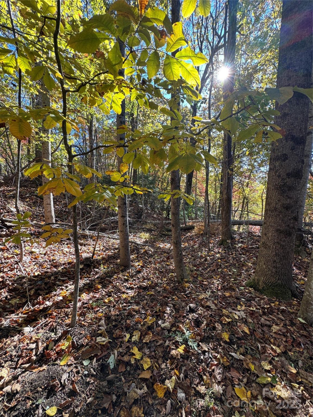 9999 Hemlock Trail - Photo 2