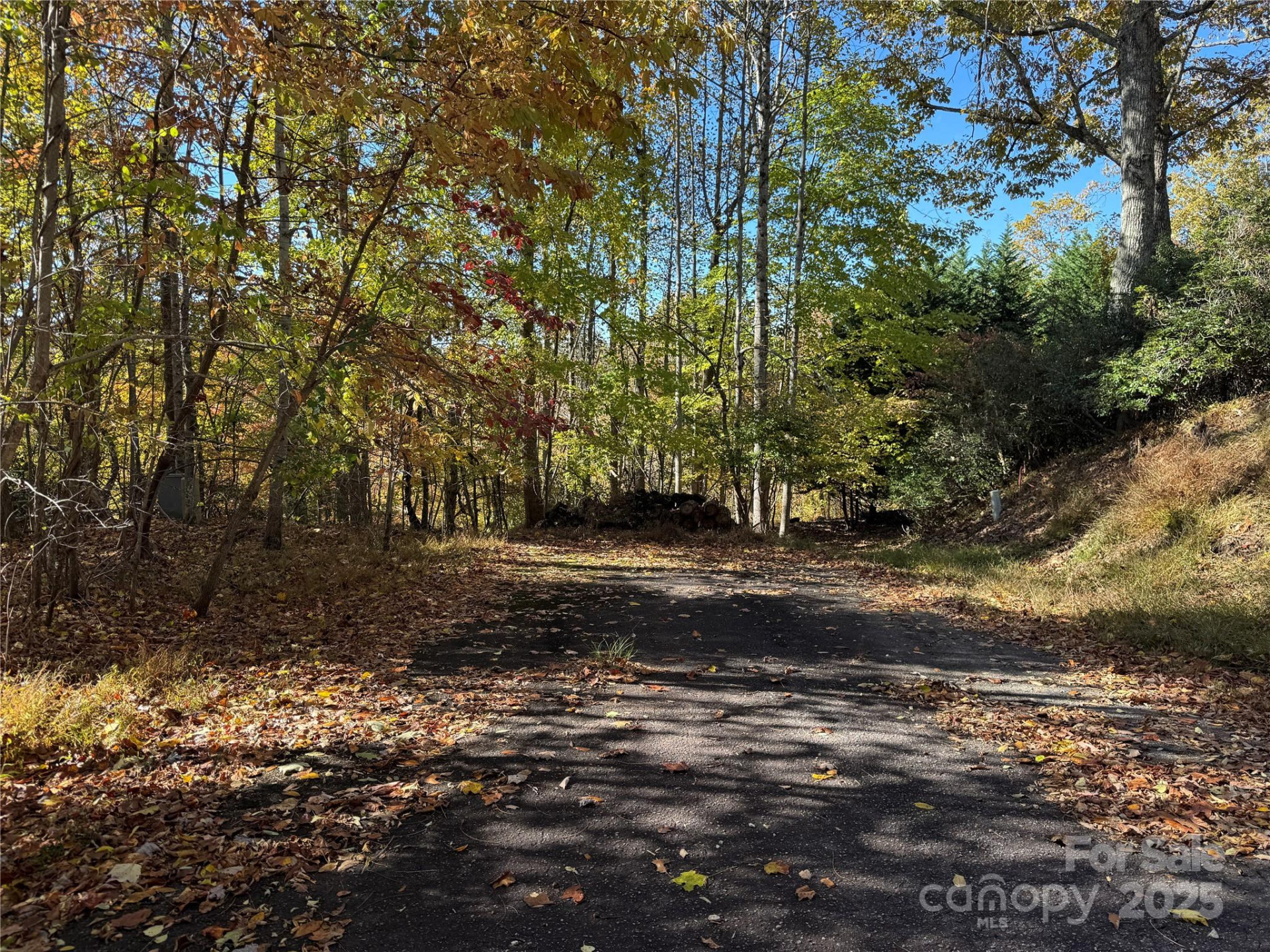 9999 Hemlock Trail - Photo 11