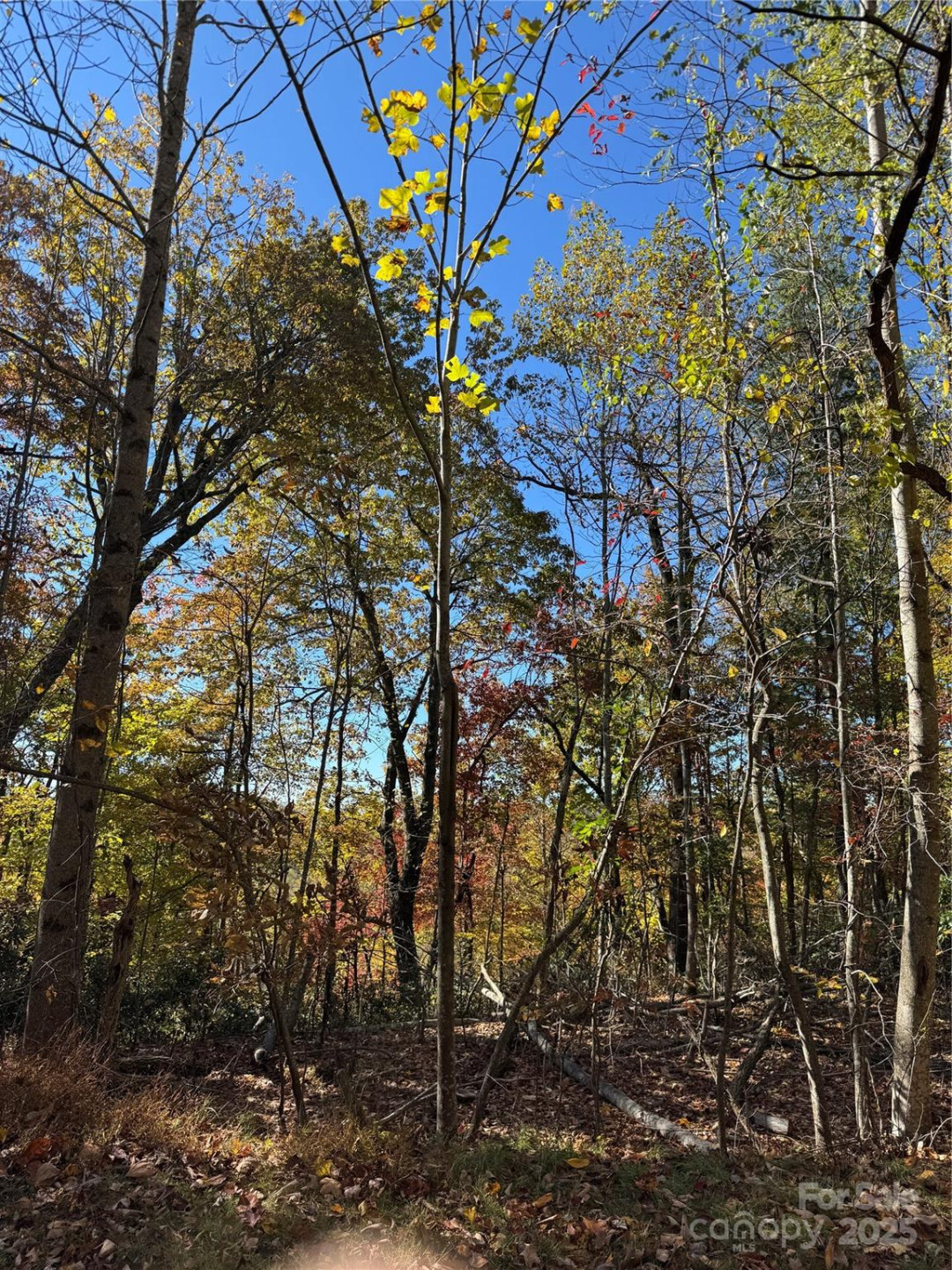 9999 Hemlock Trail - Photo 3