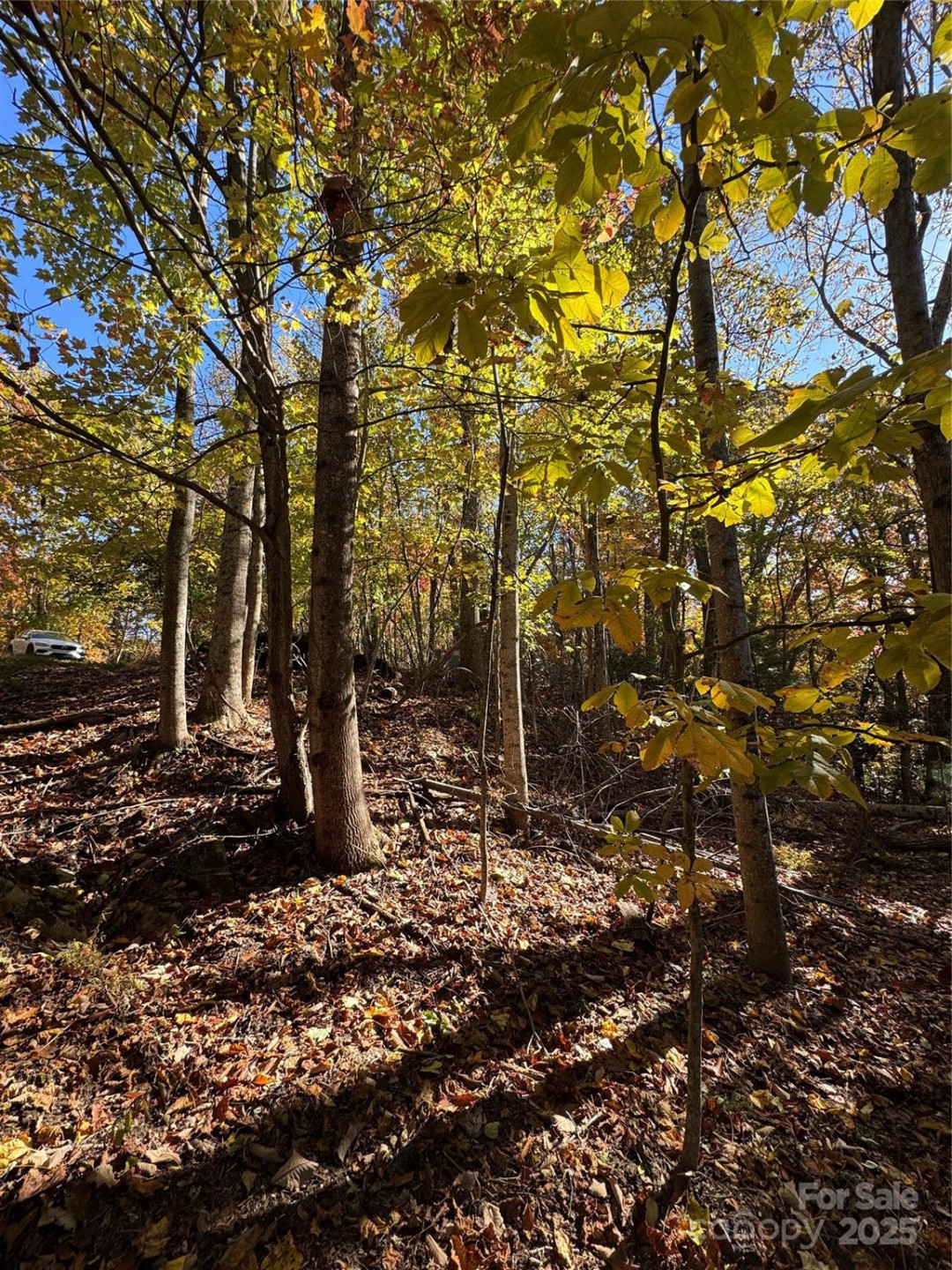 9999 Hemlock Trail - Photo 4