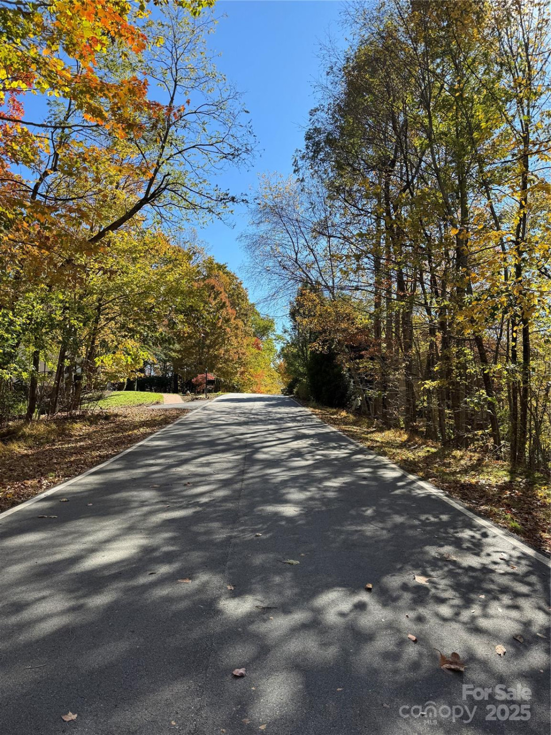 9999 Hemlock Trail - Photo 6