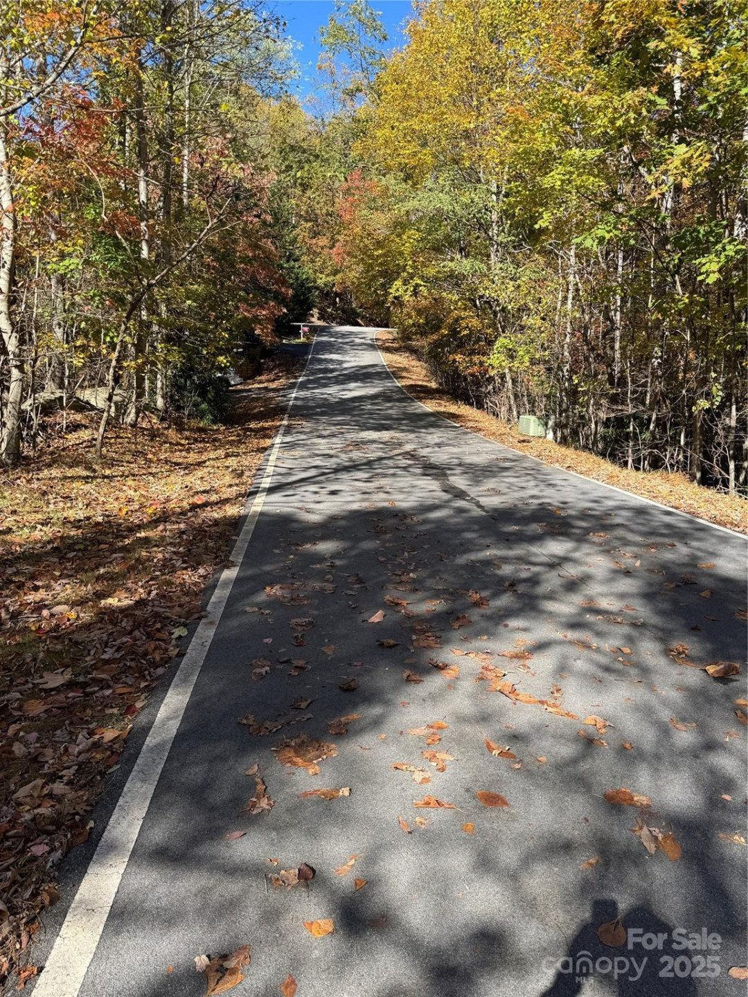 9999 Hemlock Trail - Photo 7