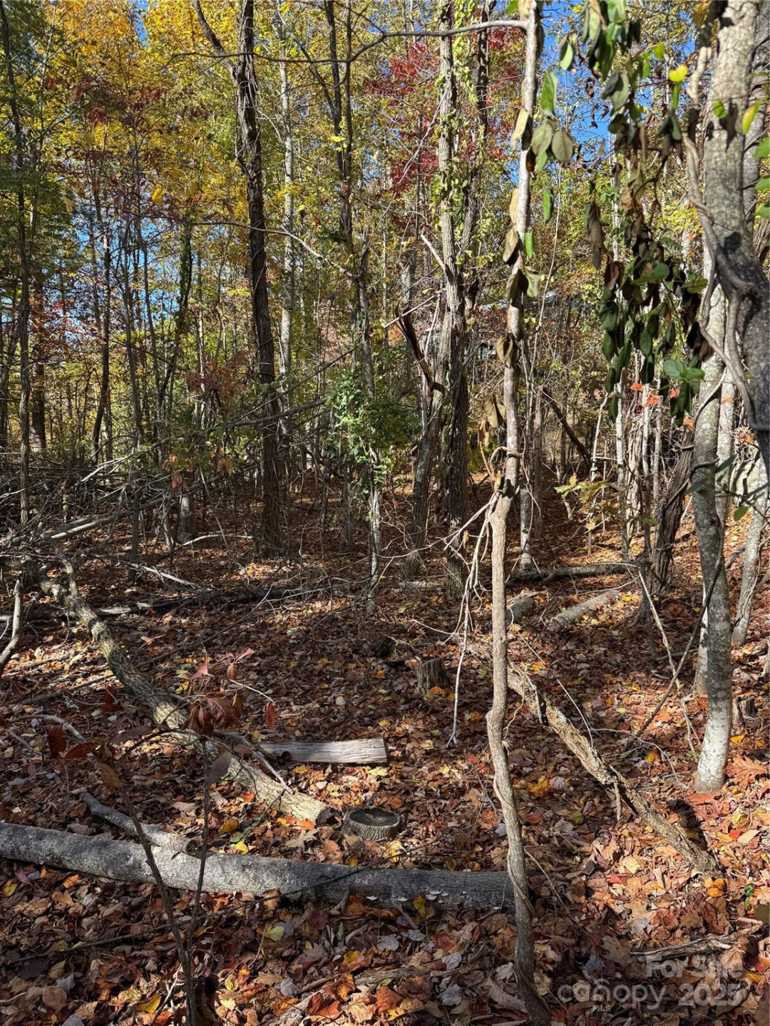 9999 Hemlock Trail - Photo 9