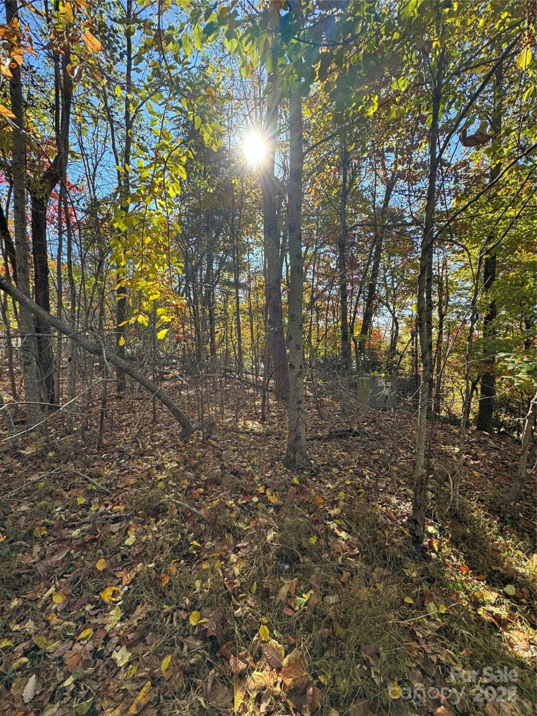 9999 Hemlock Trail - Photo 10