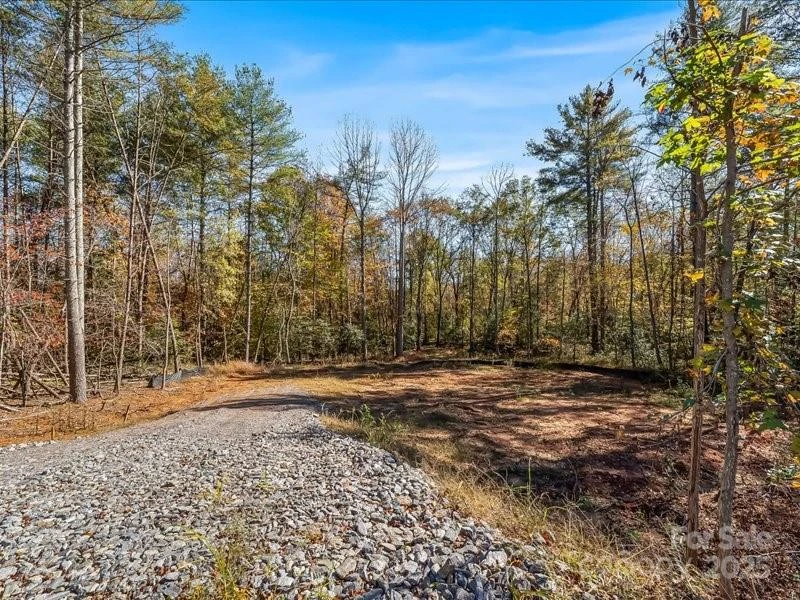 304 Winding Creek Drive - Photo 2