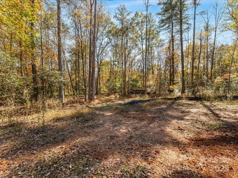 304 Winding Creek Drive - Photo 3