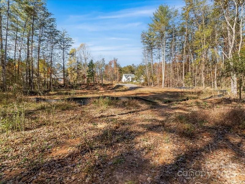 304 Winding Creek Drive - Photo 4