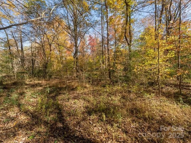 304 Winding Creek Drive - Photo 6