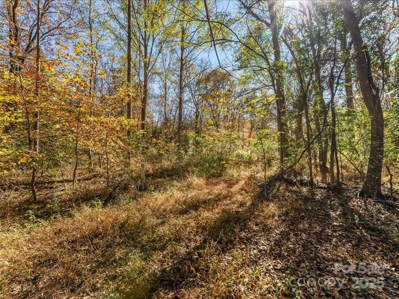 304 Winding Creek Drive - Photo 7