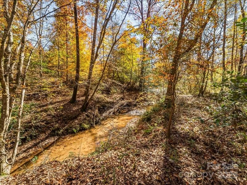 304 Winding Creek Drive - Photo 8