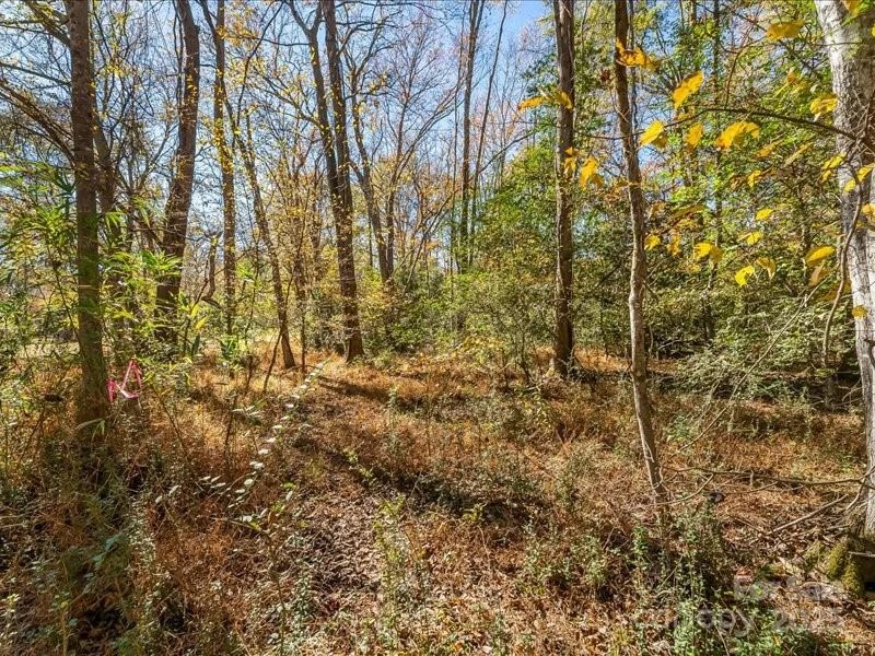 302 Winding Creek Drive - Photo 2