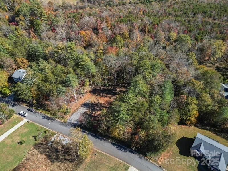 302 Winding Creek Drive - Photo 3