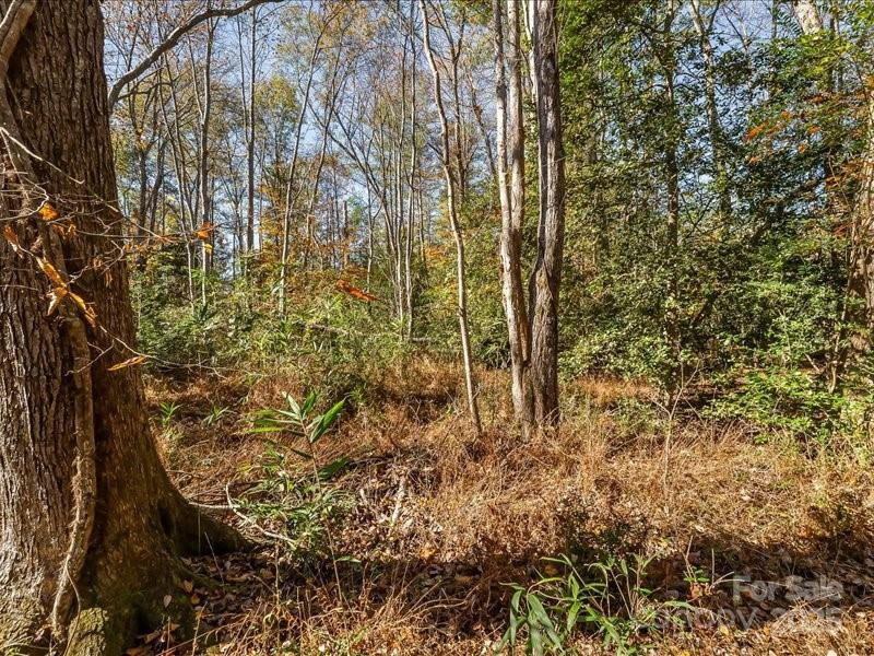 302 Winding Creek Drive - Photo 5