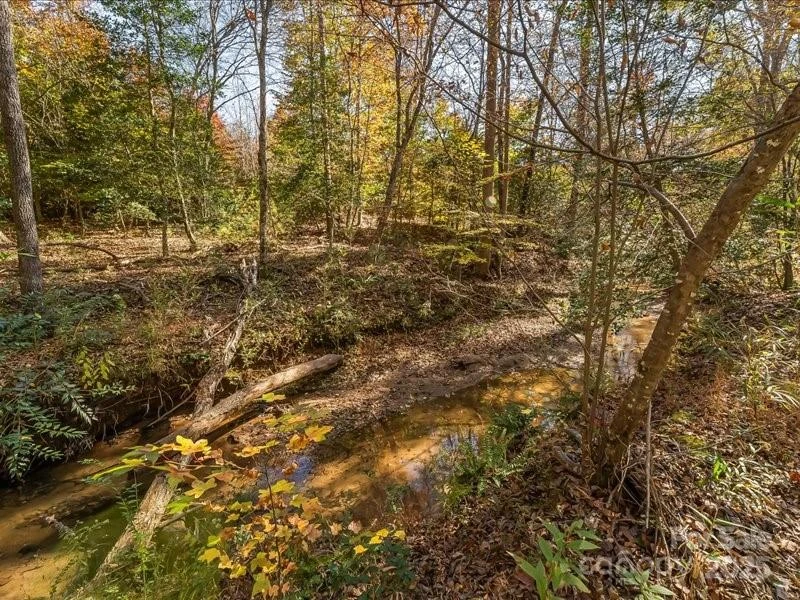 302 Winding Creek Drive - Photo 6