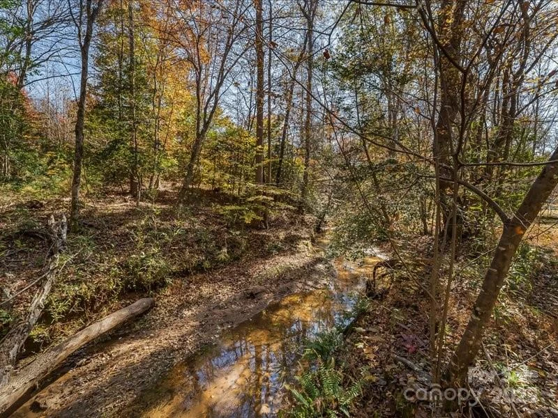302 Winding Creek Drive - Photo 7