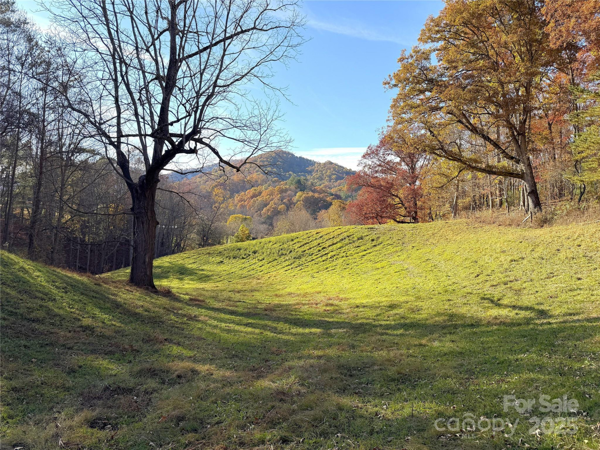 99 Thistle Ridge - Photo 46