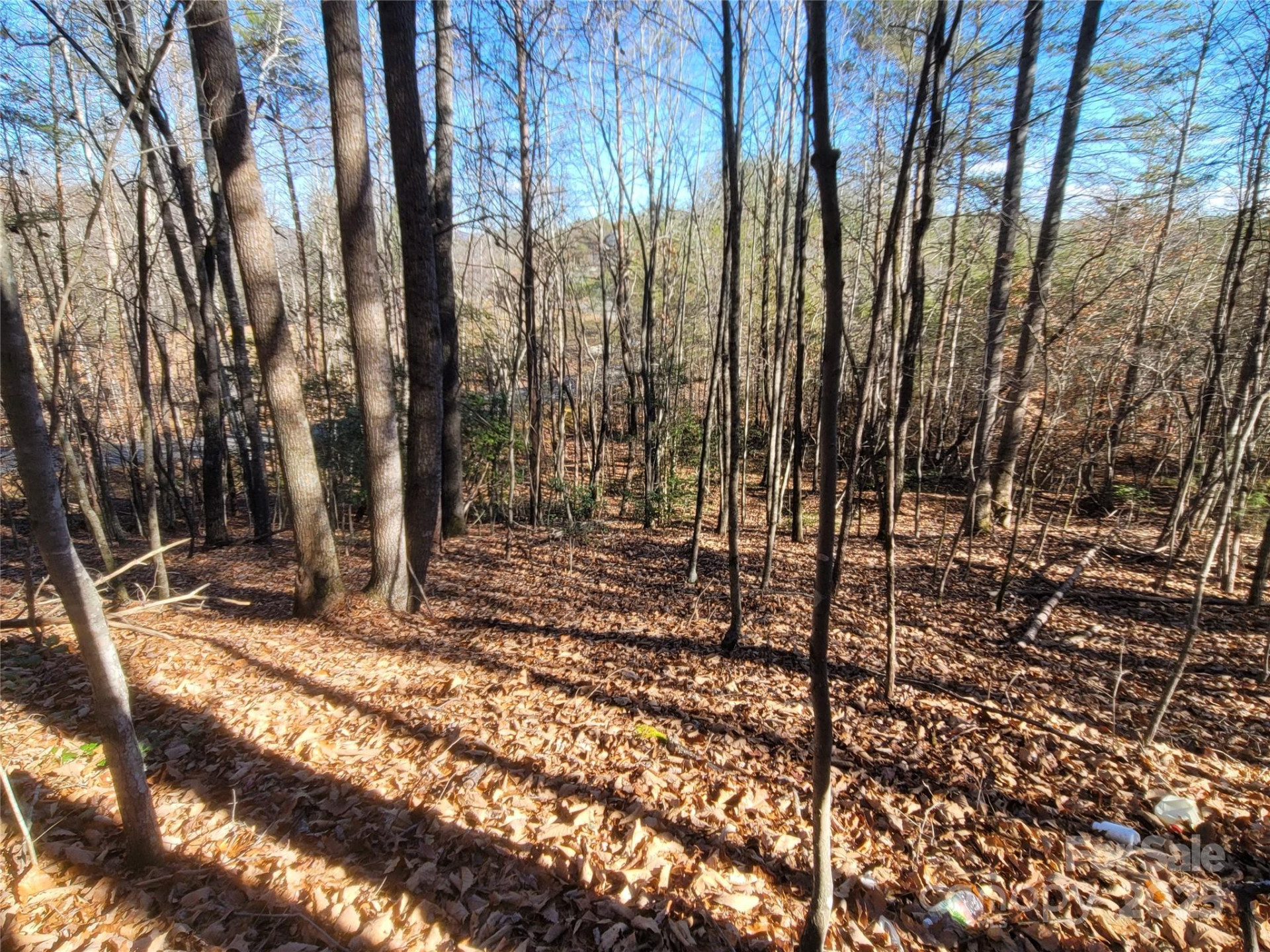 0 Mcowenben Pass #18 - Photo 11