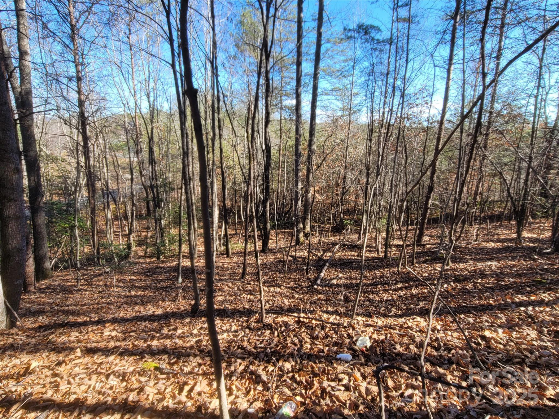 0 Mcowenben Pass #18 - Photo 12