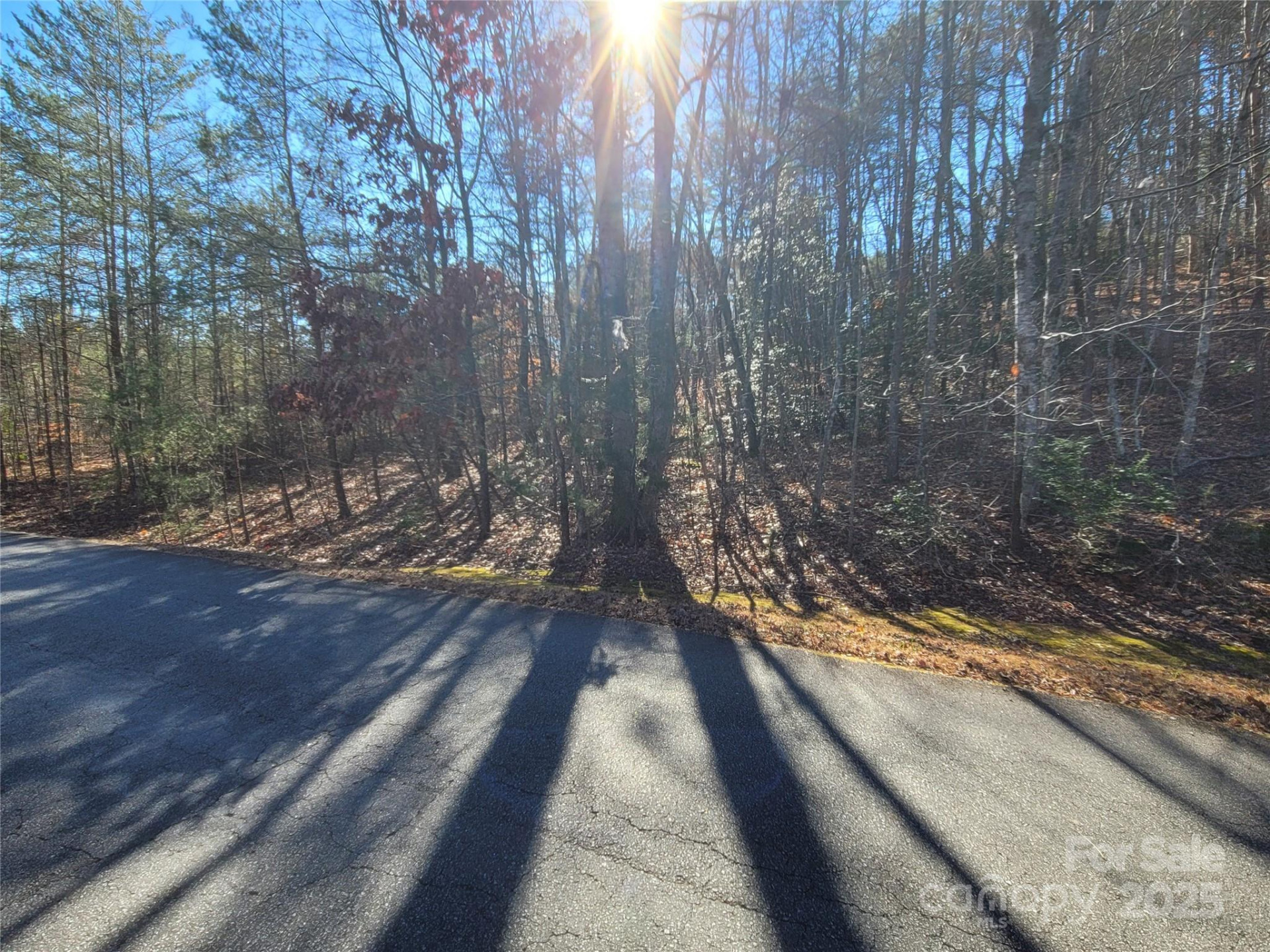 0 Mcowenben Pass #18 - Photo 14