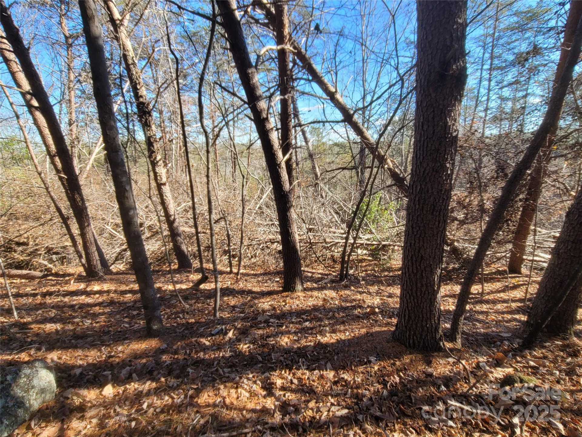 0 Mcowenben Pass #18 - Photo 6