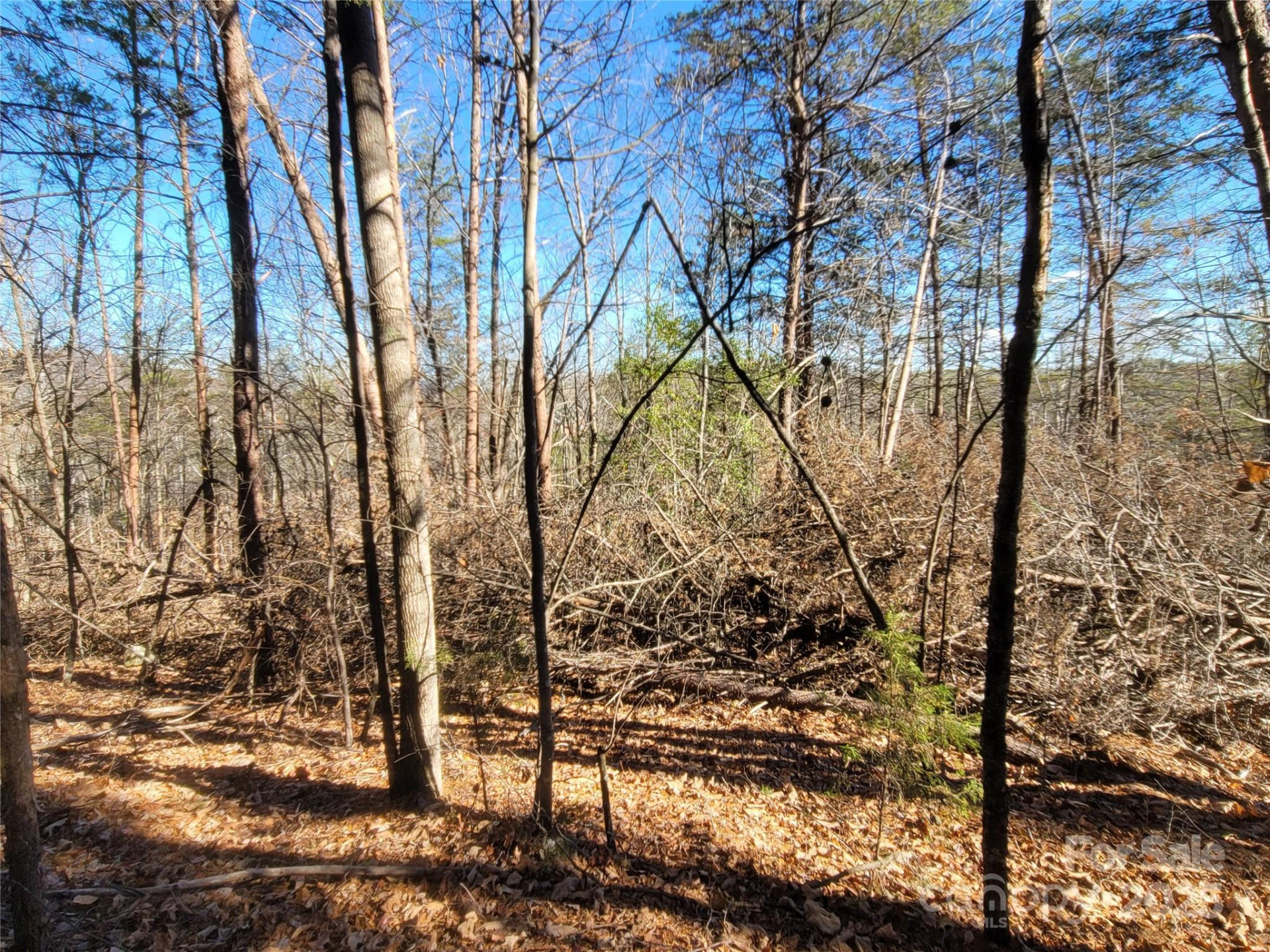 0 Mcowenben Pass #18 - Photo 7