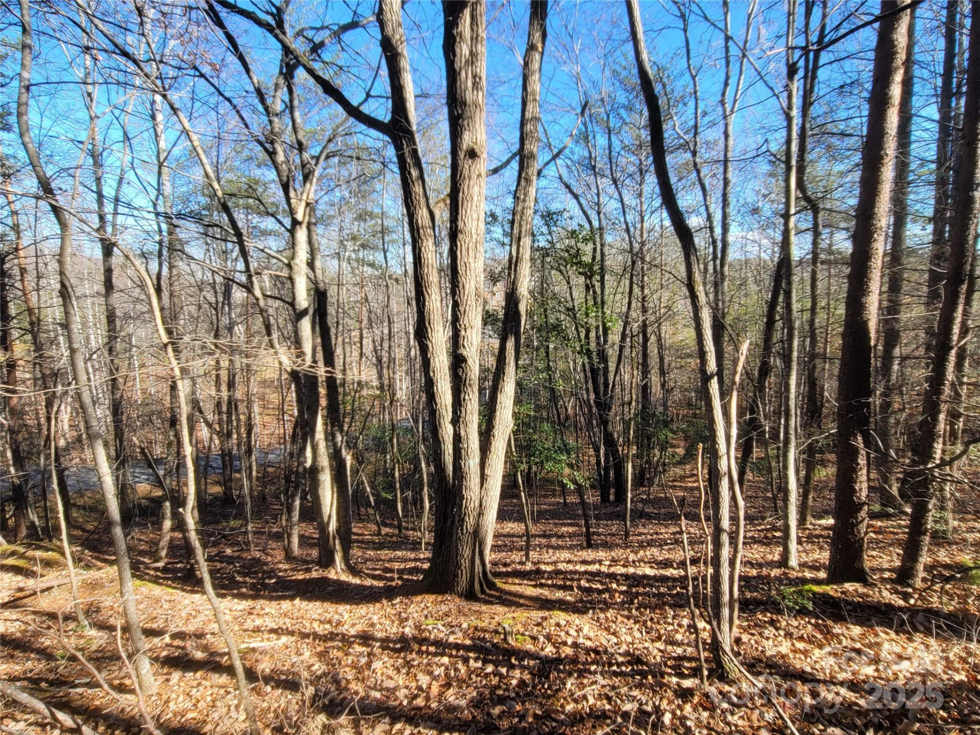 0 Mcowenben Pass #18 - Photo 8