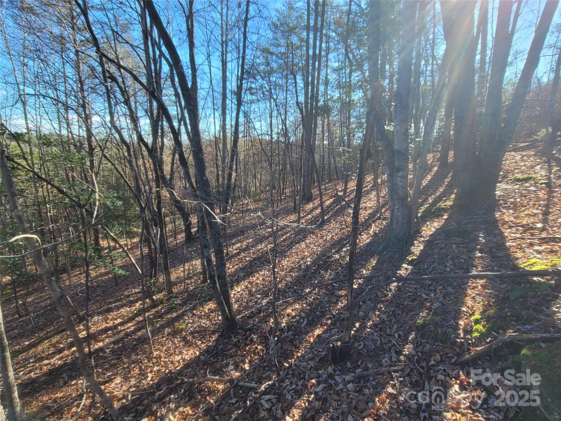 0 Mcowenben Pass #18 - Photo 10