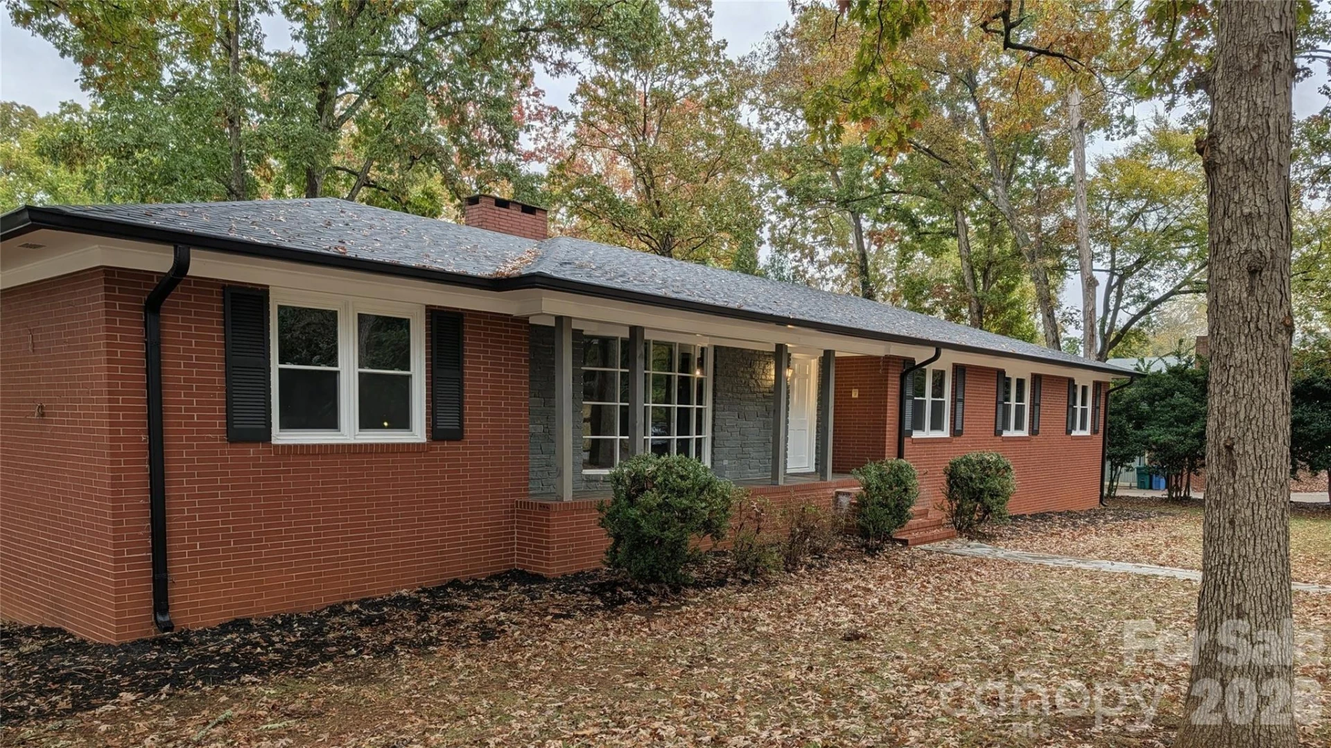 719 Avondale Avenue - Photo 4