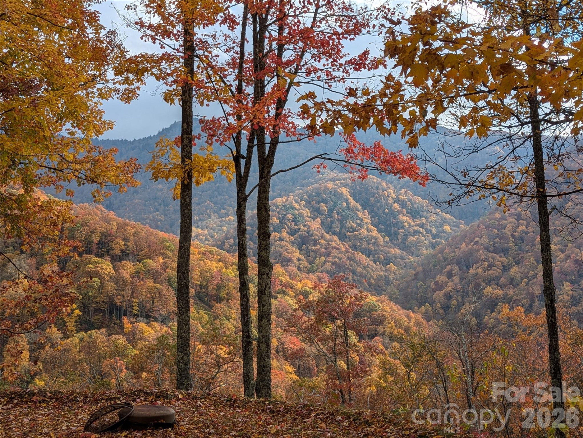 241 Bloom Trail - Photo 2