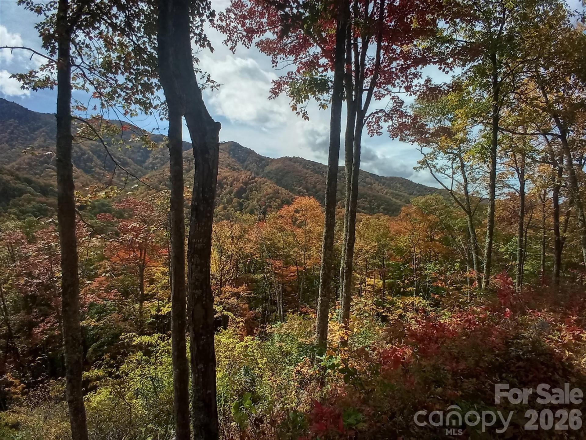 241 Bloom Trail - Photo 11