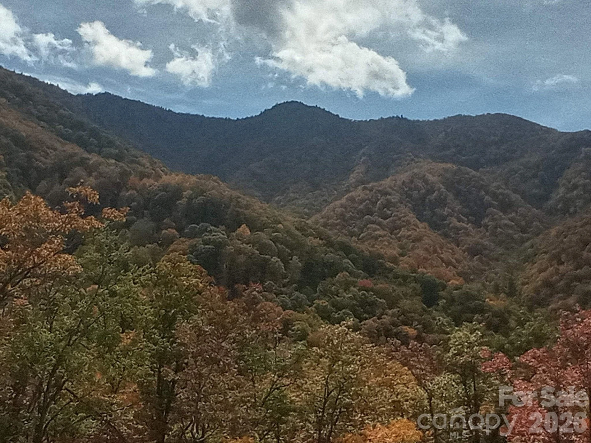 241 Bloom Trail - Photo 21