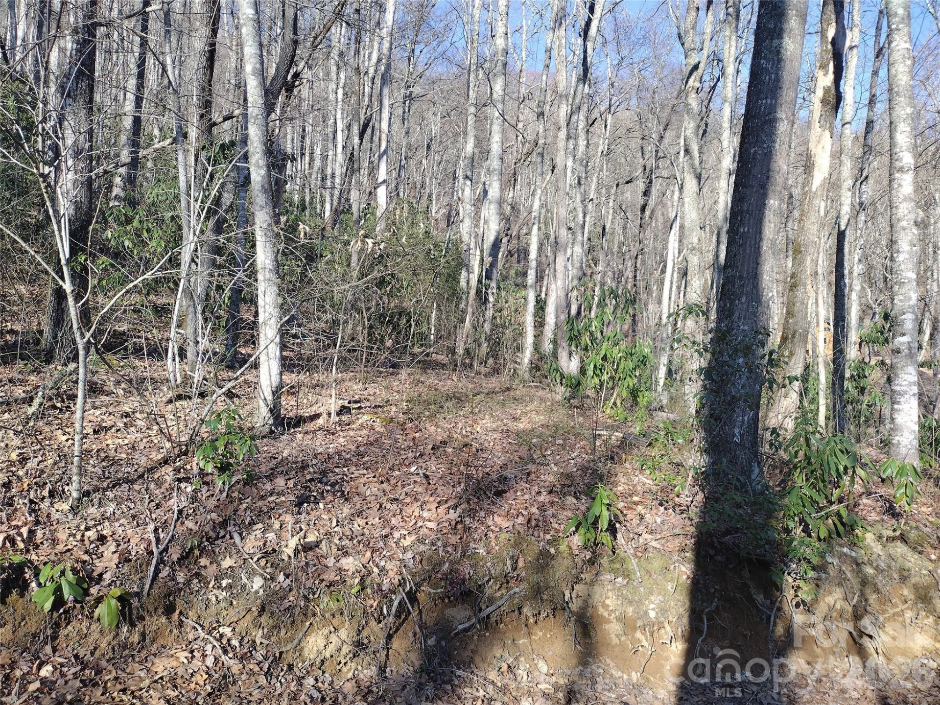 241 Bloom Trail - Photo 23